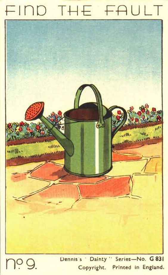 what is the fault in the picture